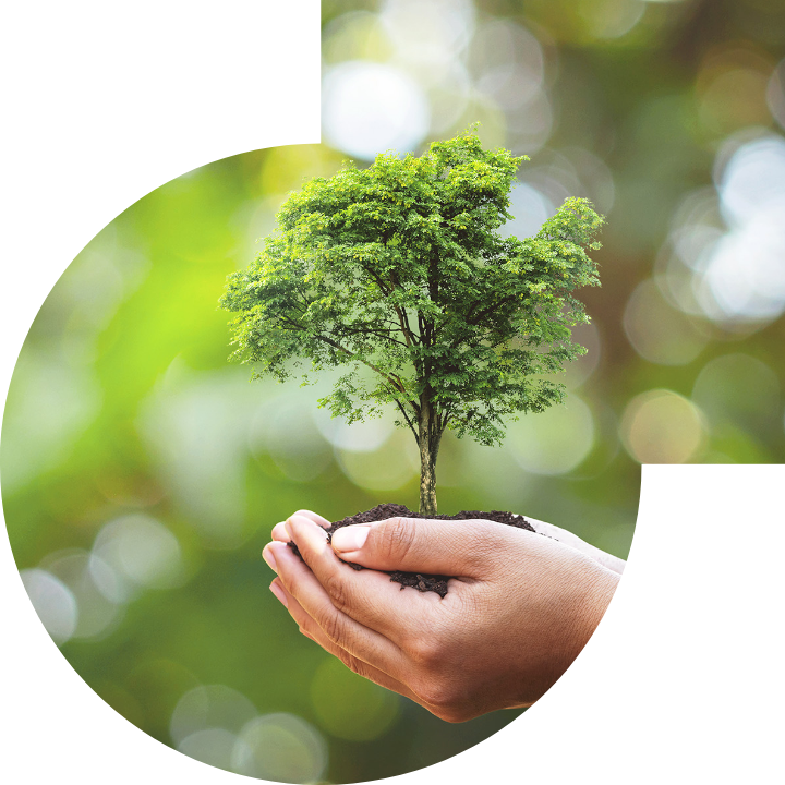 关怀人类、文化、环境与社会